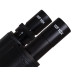 Levenhuk D870T – Микроскоп цифровой 